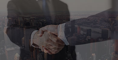 17年行業(yè)專注