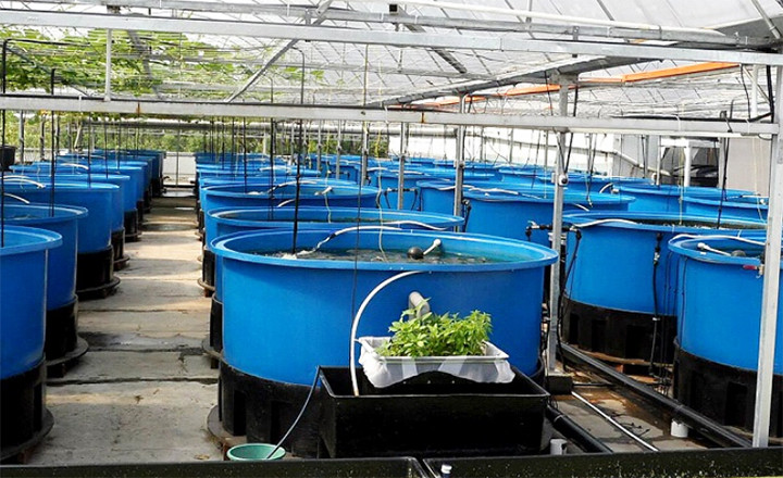 益樂塑業(yè)水產(chǎn)養(yǎng)殖方箱的特點